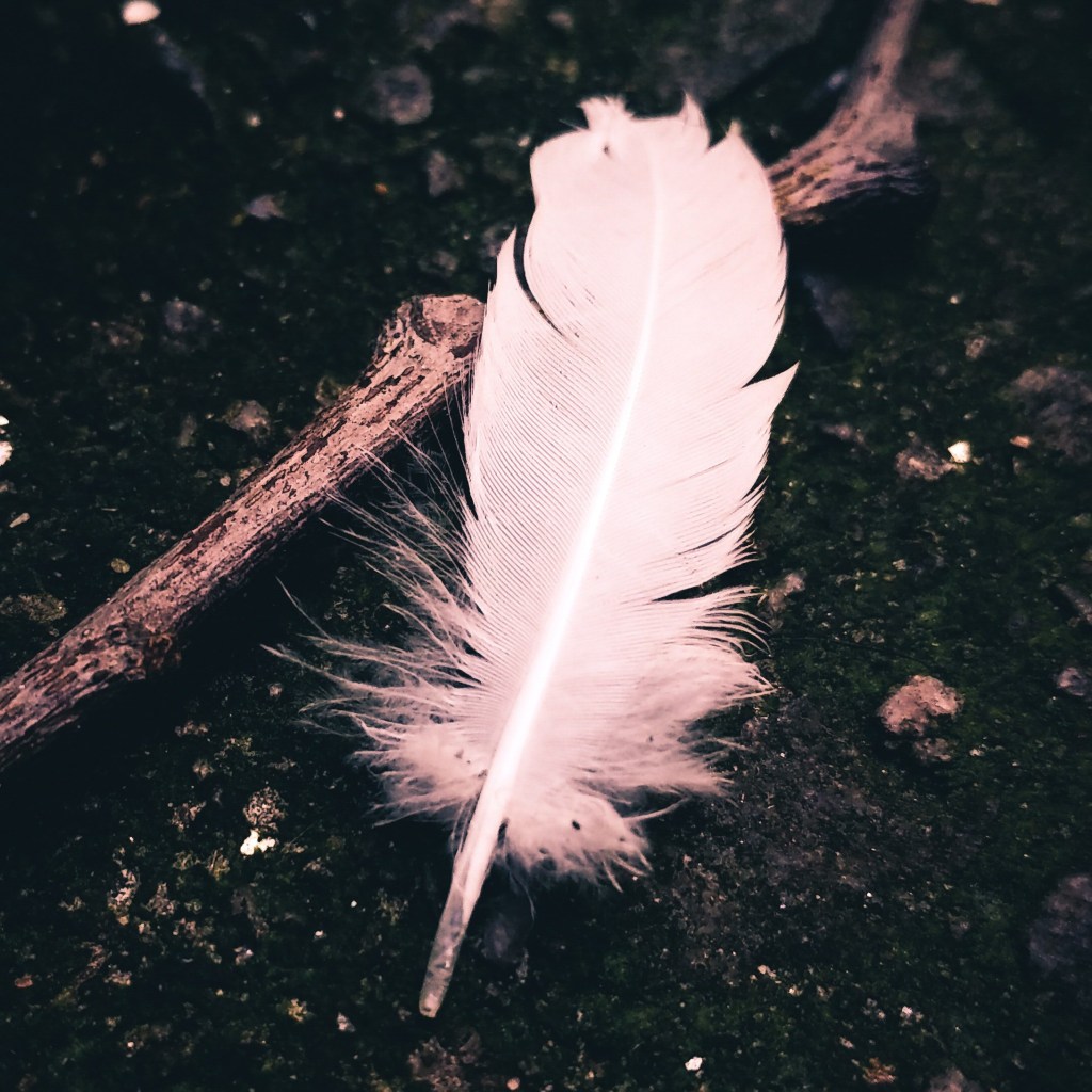 nerds of a feather, flock together